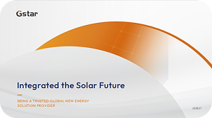 Goslar Introduction Brochure-2025