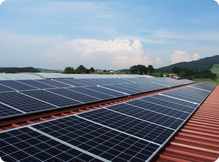 Commercial Selection